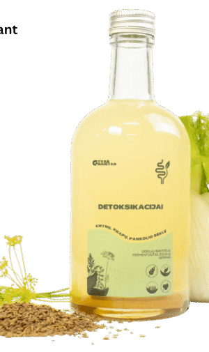 Fermentuotas probiotinis gėrimas "Detoksikacijai"
