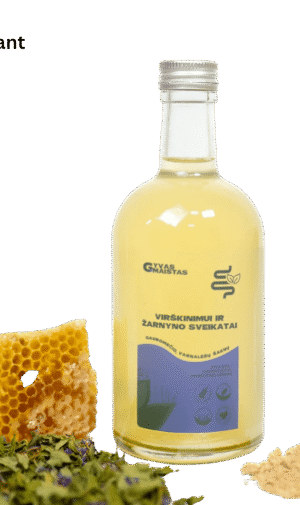 Fermentuotas probiotinis gėrimas "Virškinimui ir žarnyno sveikatai"